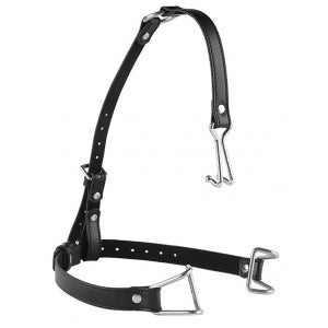 Baillon Hook