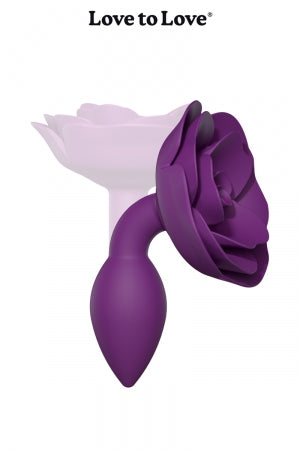 Open rose