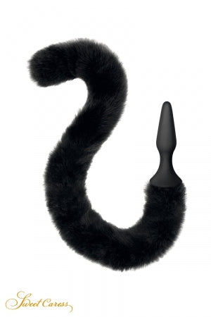Queue de chat